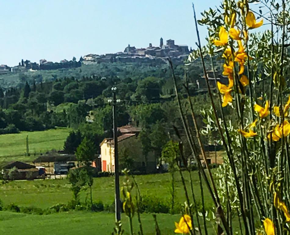 Appartamento Rustico Lucignano Exterior foto